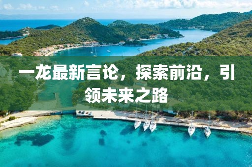 一龙最新言论，探索前沿，引领未来之路