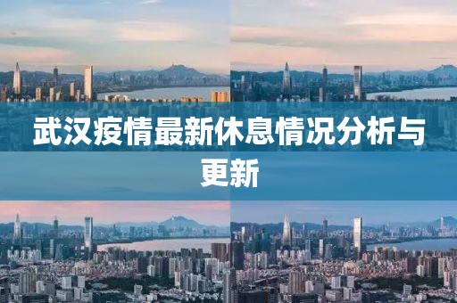 武汉疫情最新休息情况分析与更新