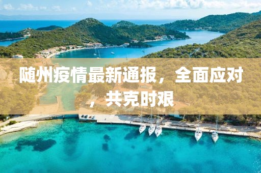 2025年1月 第19页