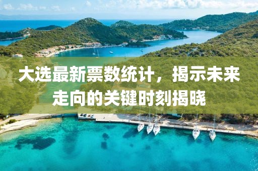 大选最新票数统计，揭示未来走向的关键时刻揭晓