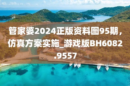 管家婆2024正版资料图95期，仿真方案实施_游戏版BH6082.9557