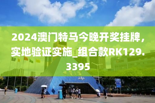 2024澳门特马今晚开奖挂牌，实地验证实施_组合款RK129.3395