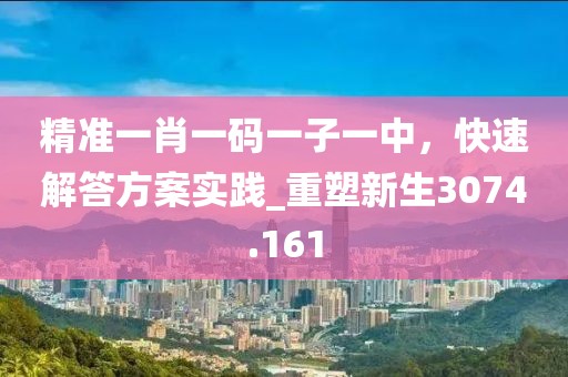 精准一肖一码一子一中，快速解答方案实践_重塑新生3074.161