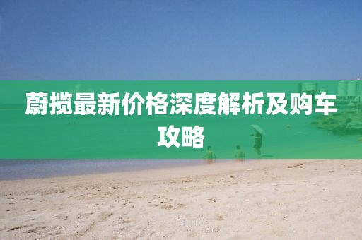 蔚揽最新价格深度解析及购车攻略