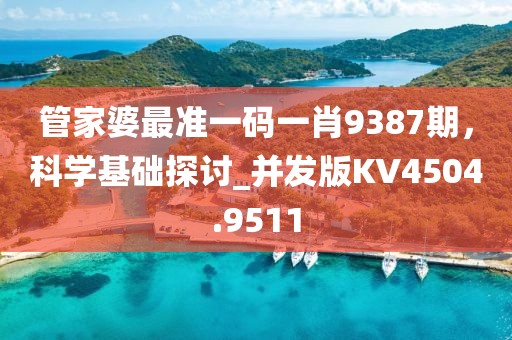 管家婆最准一码一肖9387期，科学基础探讨_并发版KV4504.9511