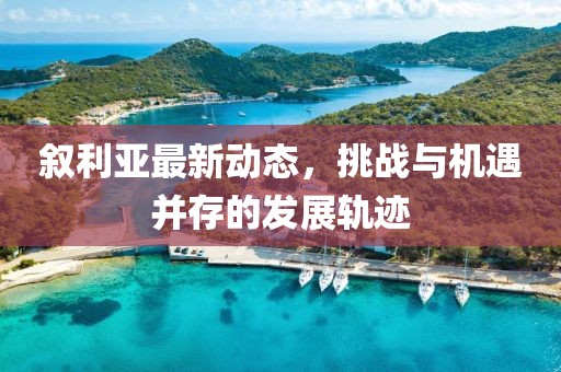 叙利亚最新动态，挑战与机遇并存的发展轨迹