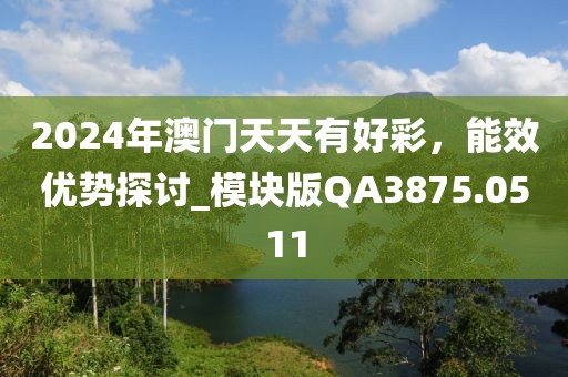 2024年澳门天天有好彩，能效优势探讨_模块版QA3875.0511