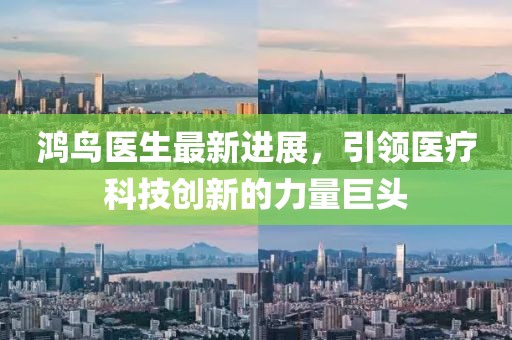 鸿鸟医生最新进展，引领医疗科技创新的力量巨头