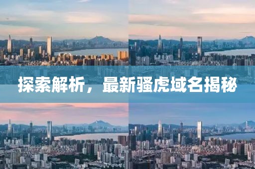 探索解析，最新骚虎域名揭秘