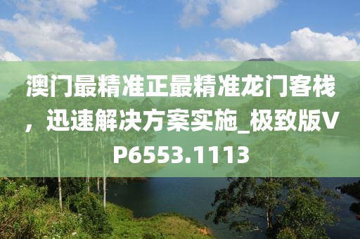 澳门最精准正最精准龙门客栈，迅速解决方案实施_极致版VP6553.1113