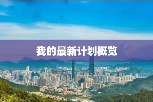 我的最新计划概览