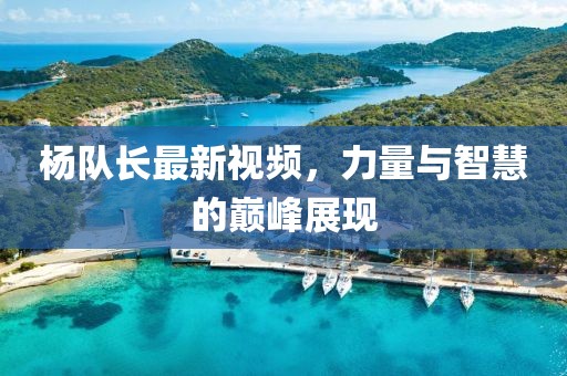 杨队长最新视频，力量与智慧的巅峰展现
