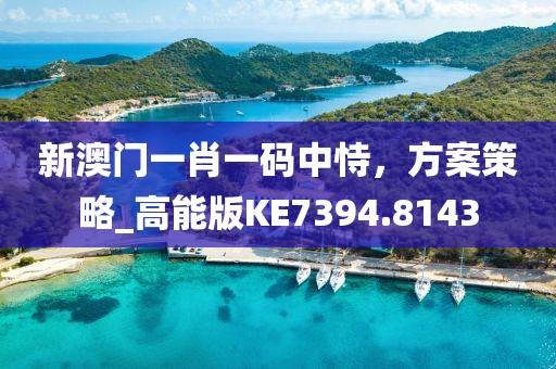 新澳门一肖一码中恃，方案策略_高能版KE7394.8143