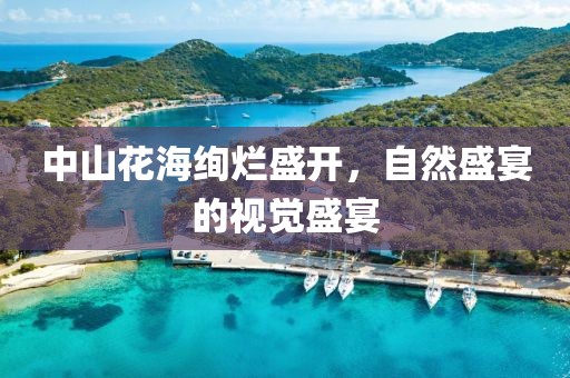 中山花海绚烂盛开，自然盛宴的视觉盛宴