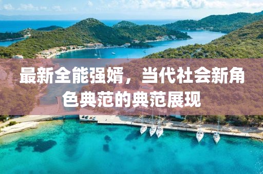 最新全能强婿，当代社会新角色典范的典范展现