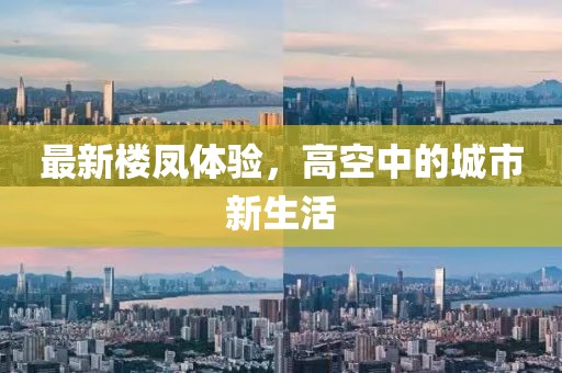 最新楼凤体验，高空中的城市新生活