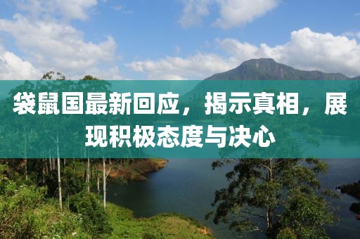 袋鼠国最新回应，揭示真相，展现积极态度与决心