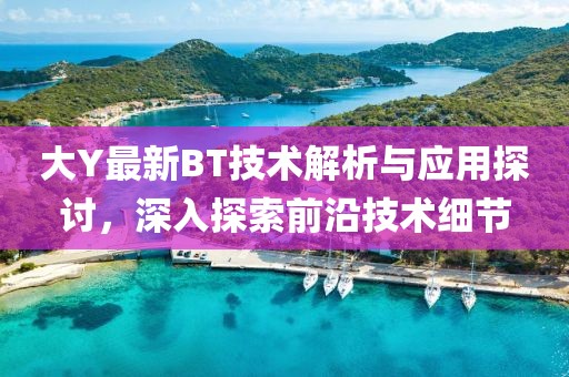 大Y最新BT技术解析与应用探讨，深入探索前沿技术细节