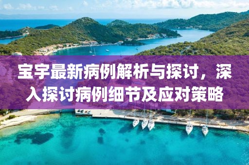 宝宇最新病例解析与探讨，深入探讨病例细节及应对策略