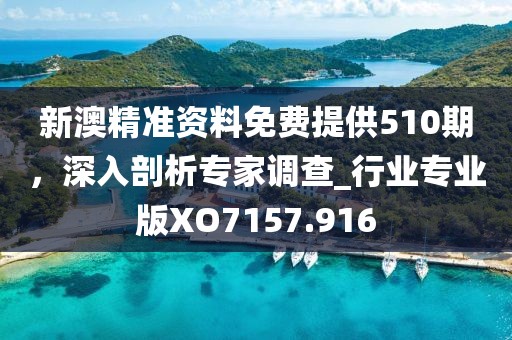 新澳精准资料免费提供510期，深入剖析专家调查_行业专业版XO7157.916