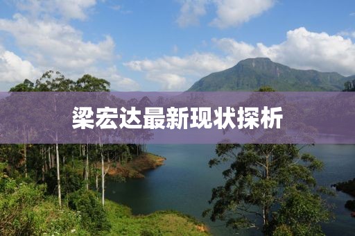 梁宏达最新现状探析