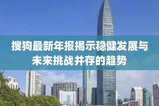 搜狗最新年报揭示稳健发展与未来挑战并存的趋势
