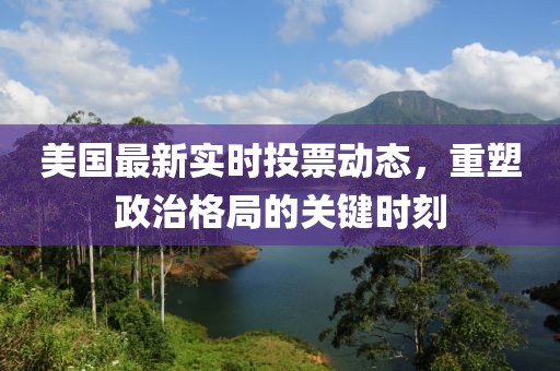 美国最新实时投票动态，重塑政治格局的关键时刻