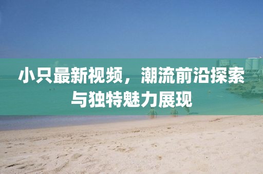 小只最新视频，潮流前沿探索与独特魅力展现