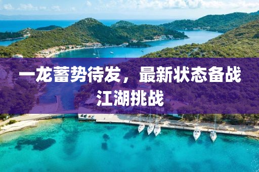 一龙蓄势待发，最新状态备战江湖挑战