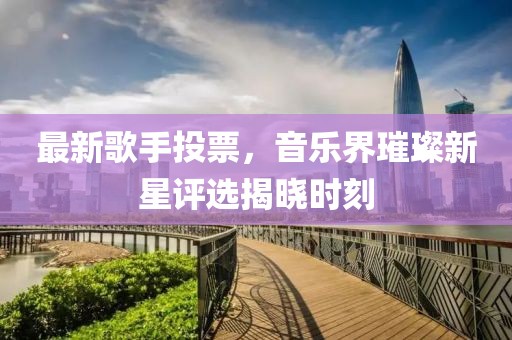 最新歌手投票，音乐界璀璨新星评选揭晓时刻