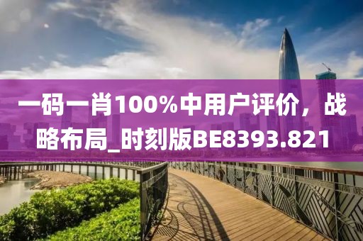 一码一肖100%中用户评价，战略布局_时刻版BE8393.821