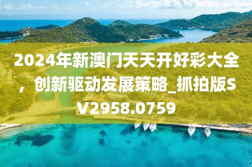 2024年新澳门天天开好彩大全，创新驱动发展策略_抓拍版SV2958.0759