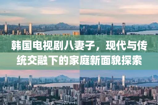 韩国电视剧八妻子，现代与传统交融下的家庭新面貌探索