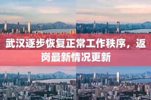 武汉逐步恢复正常工作秩序，返岗最新情况更新