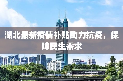 湖北最新疫情补贴助力抗疫，保障民生需求