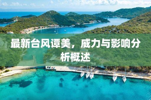 最新台风谭美，威力与影响分析概述