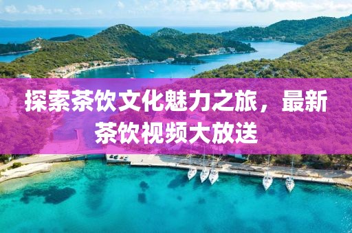 探索茶饮文化魅力之旅，最新茶饮视频大放送
