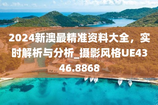 2024新澳最精准资料大全，实时解析与分析_摄影风格UE4346.8868