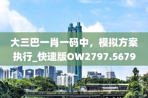 大三巴一肖一码中，模拟方案执行_快速版OW2797.5679