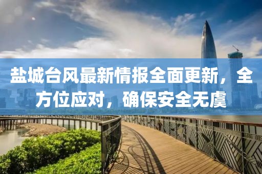 盐城台风最新情报全面更新，全方位应对，确保安全无虞