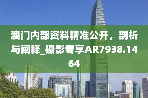 澳门内部资料精准公开，剖析与阐释_摄影专享AR7938.1464