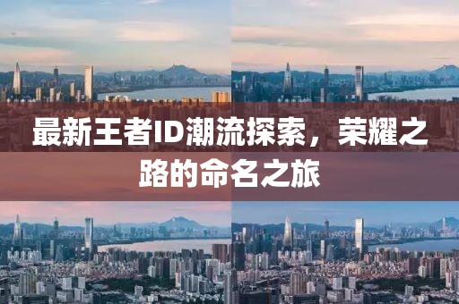 最新王者ID潮流探索，荣耀之路的命名之旅