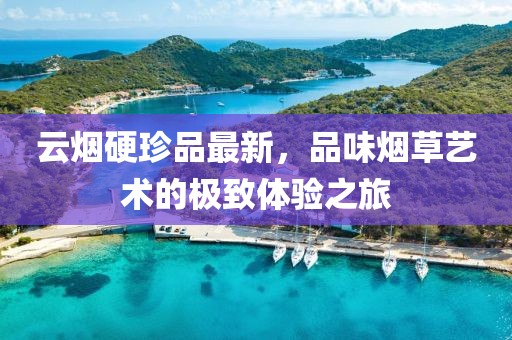 云烟硬珍品最新，品味烟草艺术的极致体验之旅