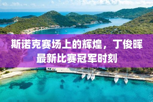 斯诺克赛场上的辉煌，丁俊晖最新比赛冠军时刻