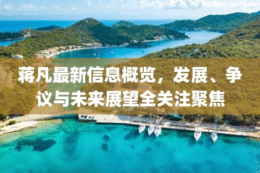 蒋凡最新信息概览，发展、争议与未来展望全关注聚焦
