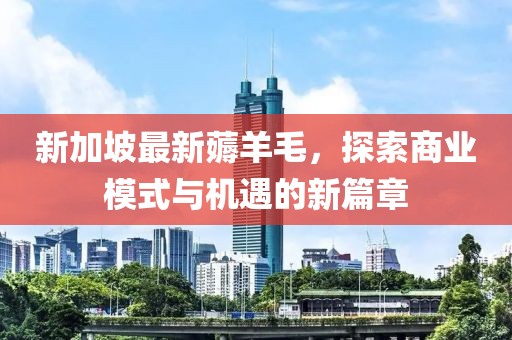 新加坡最新薅羊毛，探索商业模式与机遇的新篇章