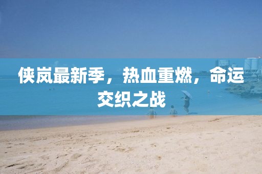 侠岚最新季，热血重燃，命运交织之战