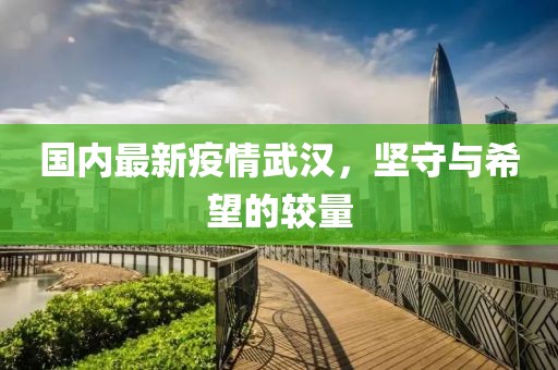 国内最新疫情武汉，坚守与希望的较量