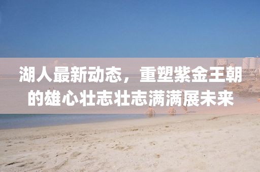 湖人最新动态，重塑紫金王朝的雄心壮志壮志满满展未来
