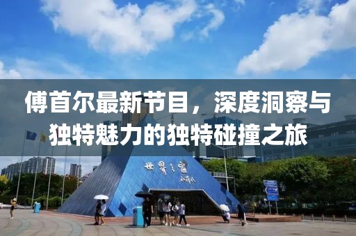 傅首尔最新节目，深度洞察与独特魅力的独特碰撞之旅